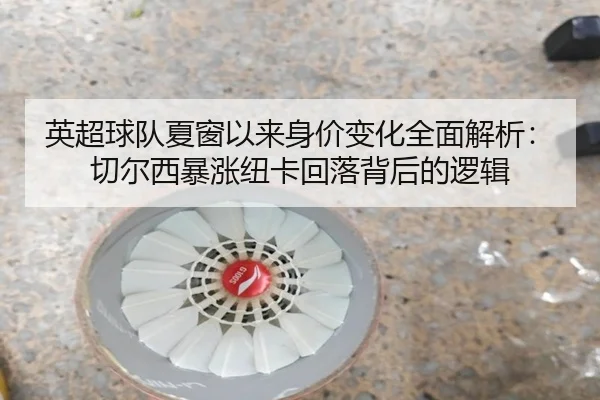 英超球队夏窗以来身价变化全面解析：切尔西暴涨纽卡回落背后的逻辑